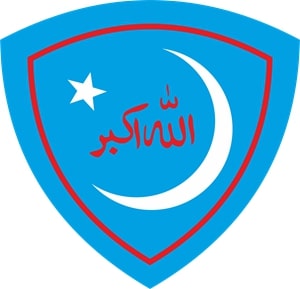 Logo of IJT